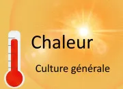 Quiz Chaleur