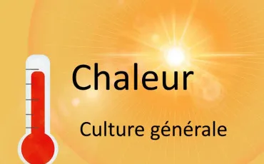 Quiz Culture générale
