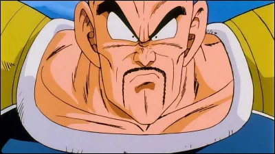 Qui tue Nappa ?