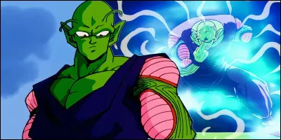 Qui est Piccolo ?