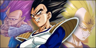 Qui est la femme de Vegeta ?