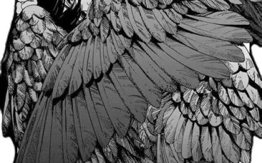 Quiz Manga