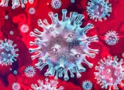 Quiz Microbes, bactéries et virus en culture générale