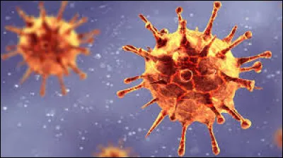 Quel virus est utilis&eacute; pour lutter contre les bact&eacute;ries r&eacute;sistantes ?