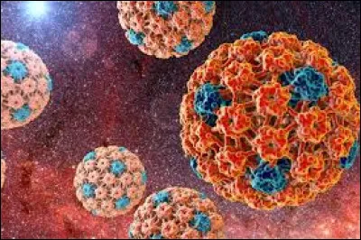 Quel microbe est responsable de la fermentation du yaourt ?