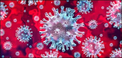 Quel type de micro-organisme est le plus abondant sur Terre ?