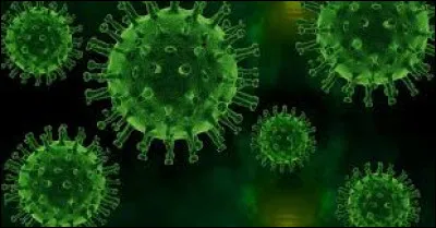Quel microbe vit dans les sources chaudes &agrave; plus de 100&deg;C ?