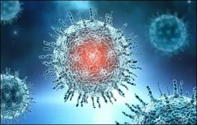 Quel virus est responsable du rhume le plus courant ?
