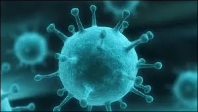 Quel microbe peut survivre dans l'espace ?
