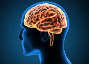 Quiz Êtes-vous manipulé par votre mémoire ?