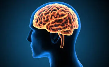 Quiz Sciences