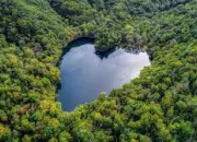 Quiz La nature se donne en spectacle