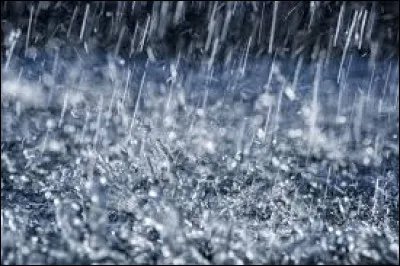Comment appelle-t-on l'odeur de pluie principalement caus&eacute;e par des huiles v&eacute;g&eacute;tales et une bact&eacute;rie du sol qui lib&egrave;re une mol&eacute;cule appel&eacute;e g&eacute;osmine ?