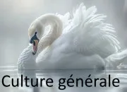 Quiz Cygne