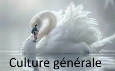 Quiz Culture générale
