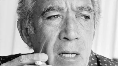 Qui est cet acteur qui joue le r&ocirc;le de ''Wogan'' dans le film ''Le Cygne noir'' ?