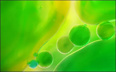 Quelle nuance de vert pr&eacute;f&egrave;res-tu ?
