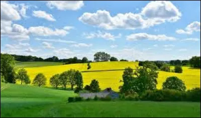 "Y'a la nature qu'est tout en sueur dans les hectares y'a du bonheur, c'est l'printemps Y'a des lilas qu'ont m&ecirc;me plus l'temps de s'faire tout mauves ou bien tout blancs, c'est l'printemps Y'a du bl&eacute; qui s'fait du mouron Les oiseaux, eux, ils disent pas non, c'est l'printemps ..." : qui chante "C'est le printemps" ?