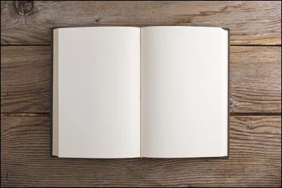 Quand tu lis un roman, combien de page pr&eacute;f&egrave;res-tu qu'il-est ?