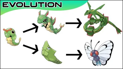 Quelle est l'&eacute;volution du LSU apr&egrave;s la 3e ?
