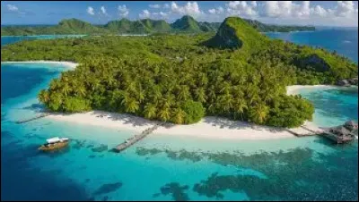 Sur quelle &icirc;le Bonaparte est-il exil&eacute; ?