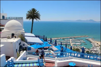 Quelle est la capitale de la Tunisie ?