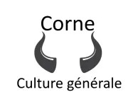 Quiz Corne
