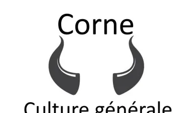 Quiz Culture générale