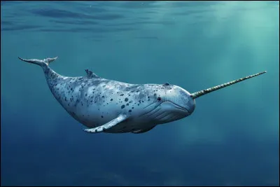 Quel est cet animal marin qui a une sorte de corne ?