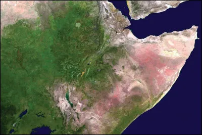 ''La Corne de l&rsquo;Afrique'' d&eacute;signe une p&eacute;ninsule de...