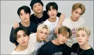 Combien de membres comporte le groupe Stray Kids ?