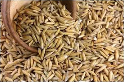 Comment d&eacute;signe t-on le riz non d&eacute;cortiqu&eacute; ?