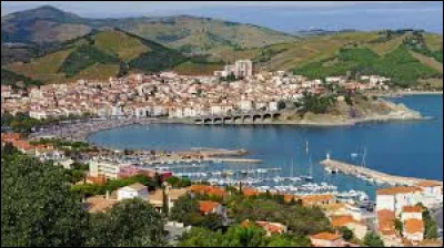 Banyuls est une petite ville bord&eacute;e par ...