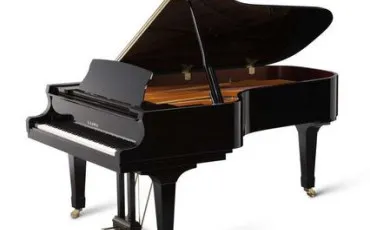 Quiz Musique