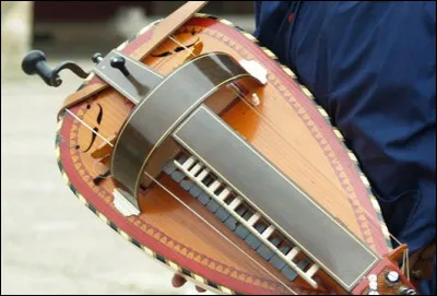 Quel est cet instrument traditionnel, principalement du centre de la France ?