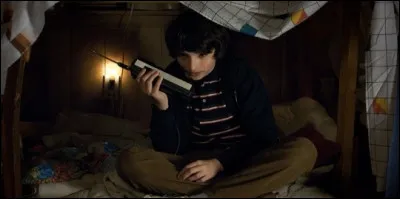 De quelle saison est tir&eacute;e cette image ?