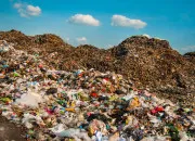Quiz Écologie - Les pays produisant le plus de déchets plastiques par an