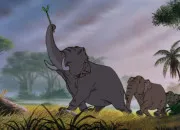 Quiz Animaux de fiction - Les éléphants