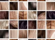 Test Quelle coiffure te va le mieux ?