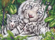 Quiz Les familles des animaux