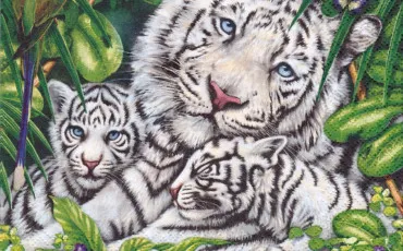 Quiz Animaux
