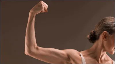 Comment on dit &laquo;&nbsp;bras&nbsp;&raquo; en espagnol ?