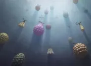 Quiz Retrouve le personnage grâce à son fruit du démon - (Paramecia)