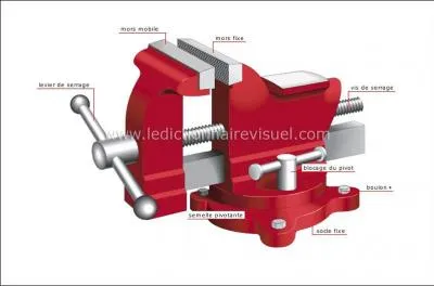 Pratique dans la cave un ( une ) ... .