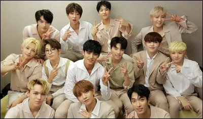Quel membre ne fait pas partie du groupe Seventeen ?