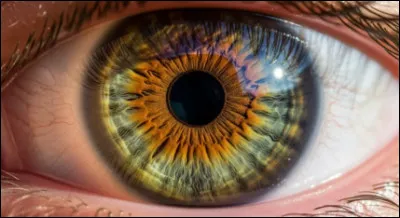 De quelle couleur sont tes yeux ?
