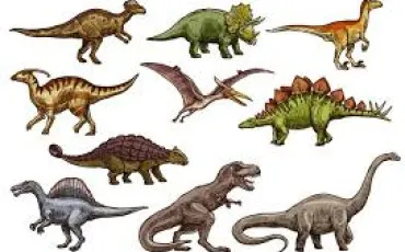 Quiz Animaux
