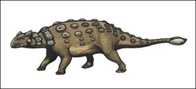 Top : Dinosaure ornithischien herbivore, je mesurais 10 m de long, 2 m de haut et pesais 4 tonnes. Vivant au Cr&eacute;tac&eacute; sup&eacute;rieur, il y a entre 68 et 66 millions d'ann&eacute;es. Mon corps &eacute;tait compos&eacute; de plaques osseuses. Mon nom signifie l&eacute;zard rigide. Qui suis-je ?