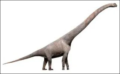 Top : Dinosaure de la famille des titanosaurid&eacute;s, j'ai v&eacute;cu &agrave; la fin du Cr&eacute;tac&eacute; inf&eacute;rieur, il y a entre 119,57 et 100,5 millions d'ann&eacute;es. Je peuplais les &Eacute;tats des &Eacute;tats-Unis de l'Arkansas, de l'Oklahoma, du Wyoming et du Texas. Mesurant 34 m de long, de 18 m de haut et pesant 60 tonnes, j'ai &eacute;t&eacute; d&eacute;couvert en 1904. Mon nom signifie ''dieu des tremblements de terre saurien''. Je me nomme...