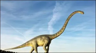 Top : Dinosaure herbivore, haut d'environ 35 m, pouvant mesurer jusqu'&agrave; 54 m, pesant de 10 &agrave; 16 tonnes, j'ai v&eacute;cu &agrave; peu pr&egrave;s il y a 150 millions d'ann&eacute;es, je suis...